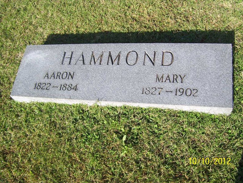 aaronhammond