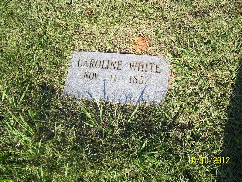 carolinawhite