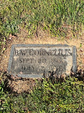 Bcornelius(1)