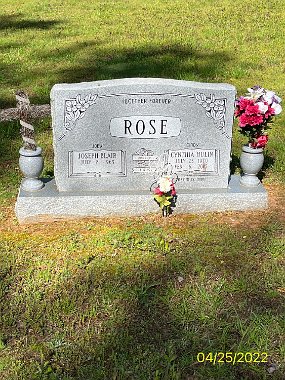 CynRose